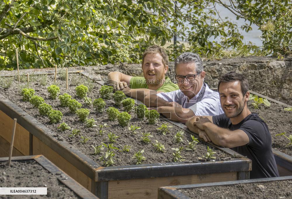 Illustration - Nantes - France