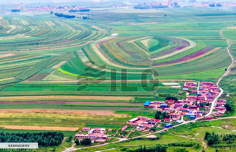 Colorful Farmland in Hohhot