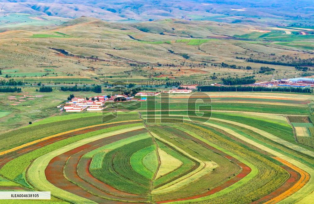 Colorful Farmland in Hohhot