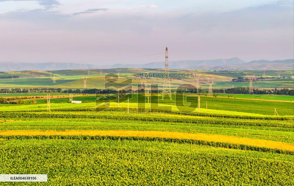 Colorful Farmland in Hohhot
