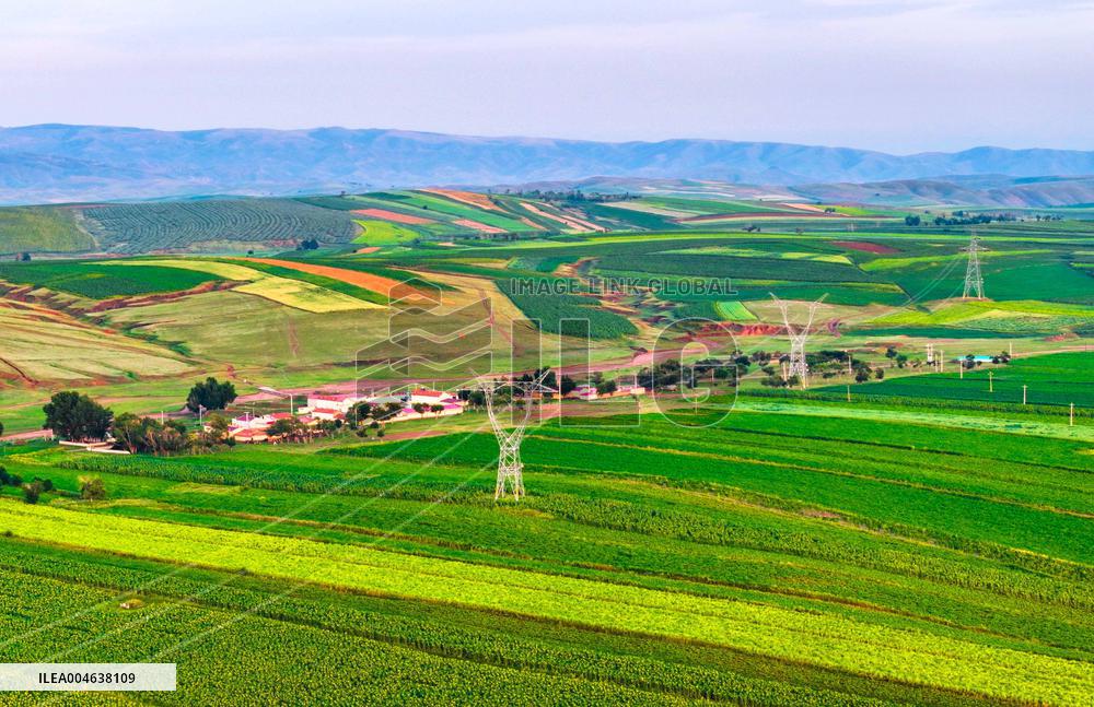 Colorful Farmland in Hohhot