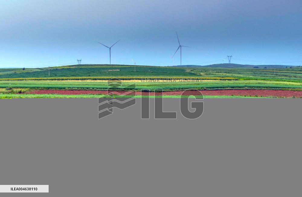 Colorful Farmland in Hohhot