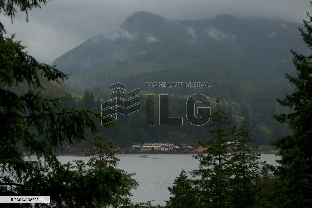 Rain and Smoke from South of Port Alberni - Canada