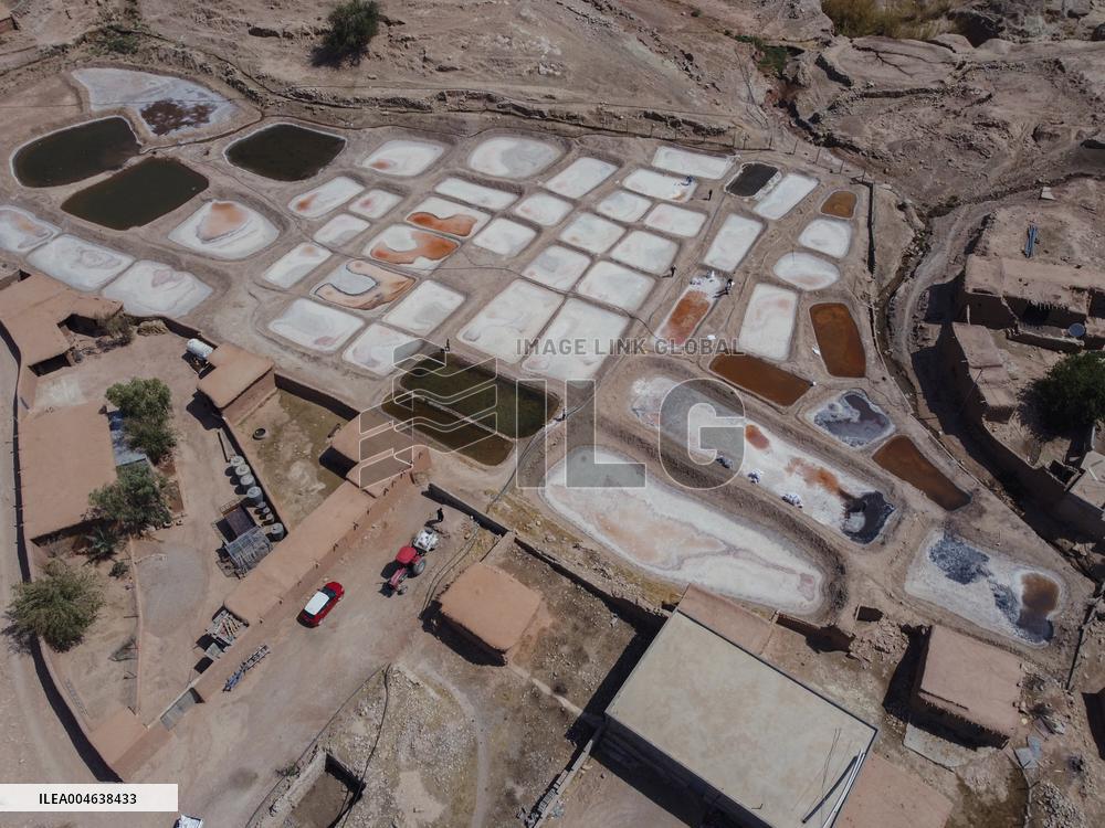 Salt Harvest Declines Sharply - Iraq