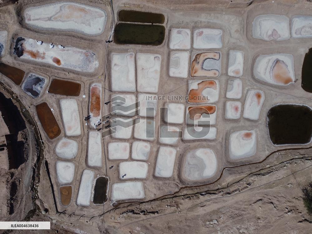 Salt Harvest Declines Sharply - Iraq