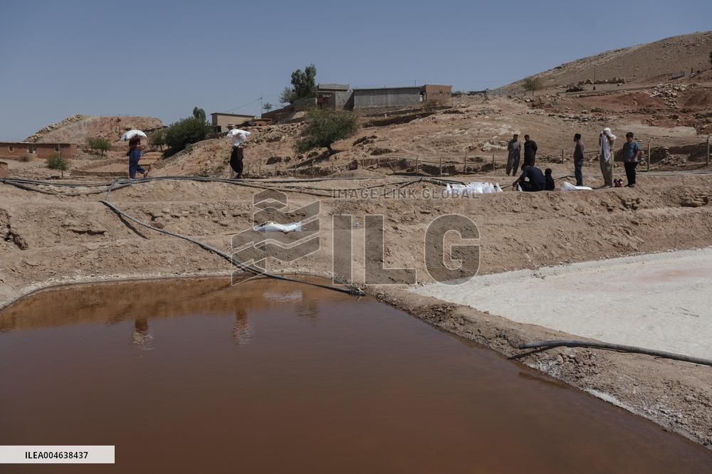 Salt Harvest Declines Sharply - Iraq