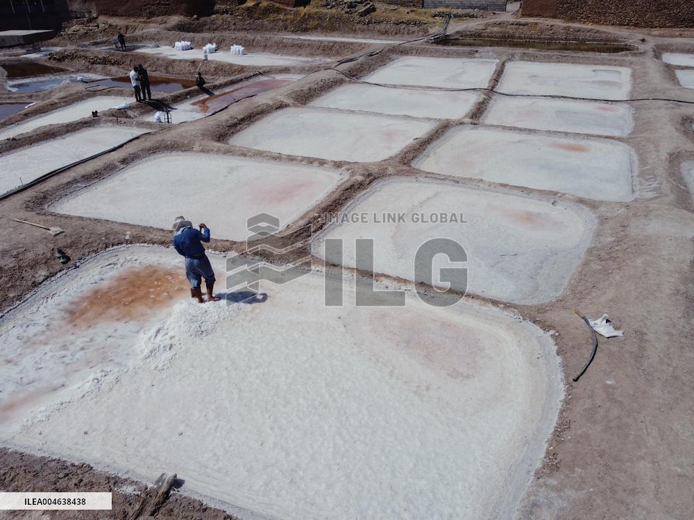 Salt Harvest Declines Sharply - Iraq
