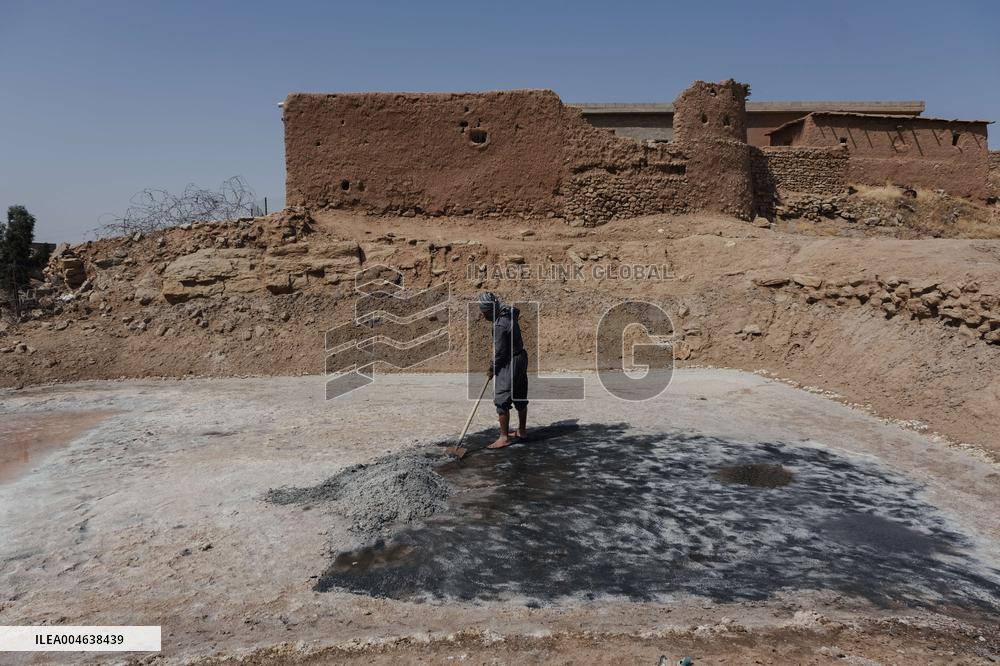Salt Harvest Declines Sharply - Iraq