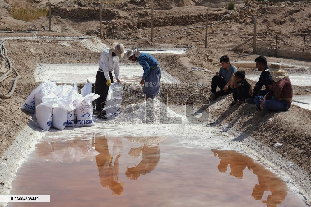 Salt Harvest Declines Sharply - Iraq