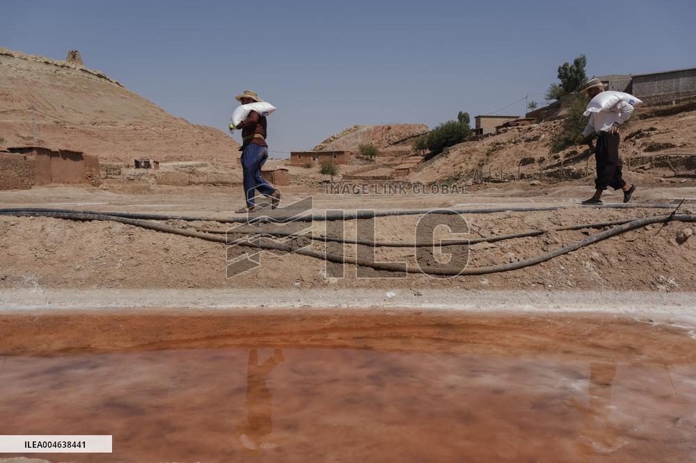 Salt Harvest Declines Sharply - Iraq
