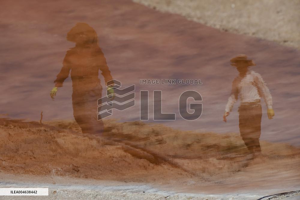 Salt Harvest Declines Sharply - Iraq