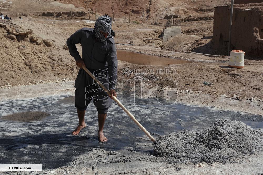 Salt Harvest Declines Sharply - Iraq