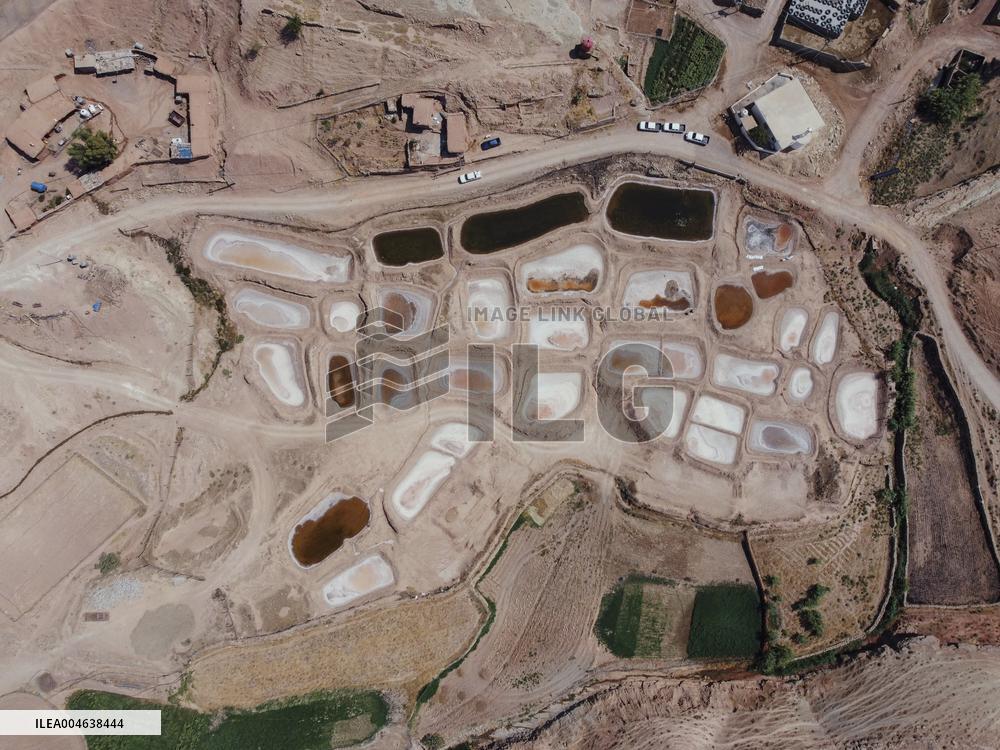 Salt Harvest Declines Sharply - Iraq