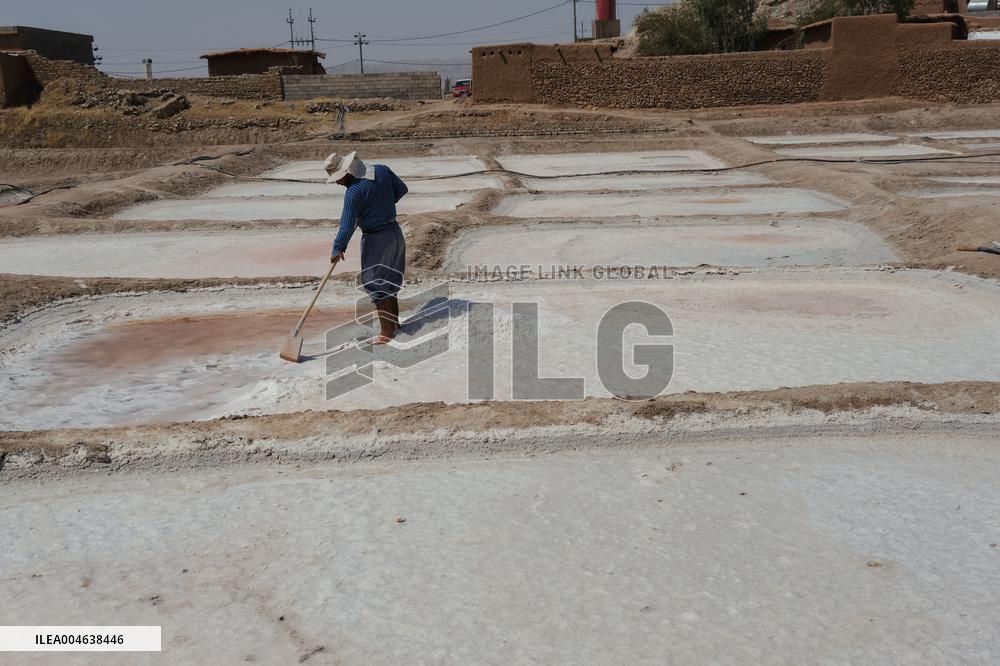 Salt Harvest Declines Sharply - Iraq