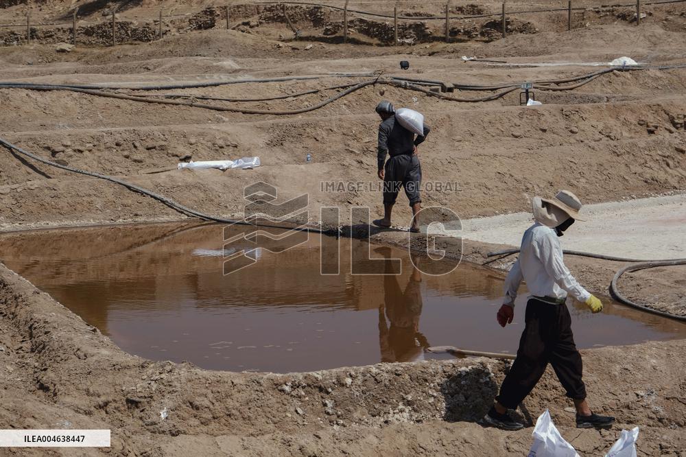 Salt Harvest Declines Sharply - Iraq