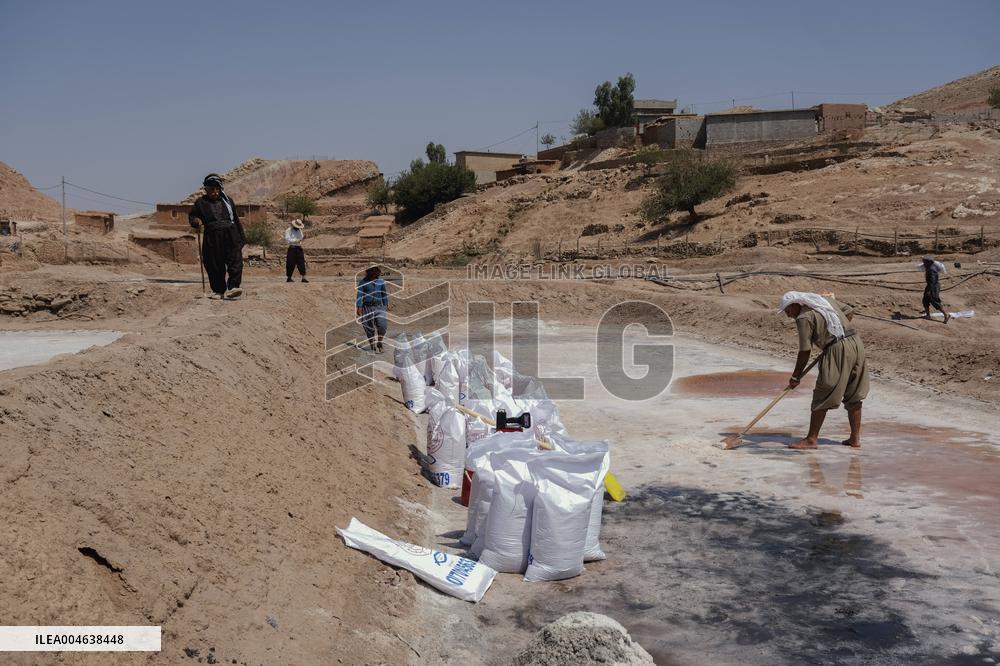 Salt Harvest Declines Sharply - Iraq