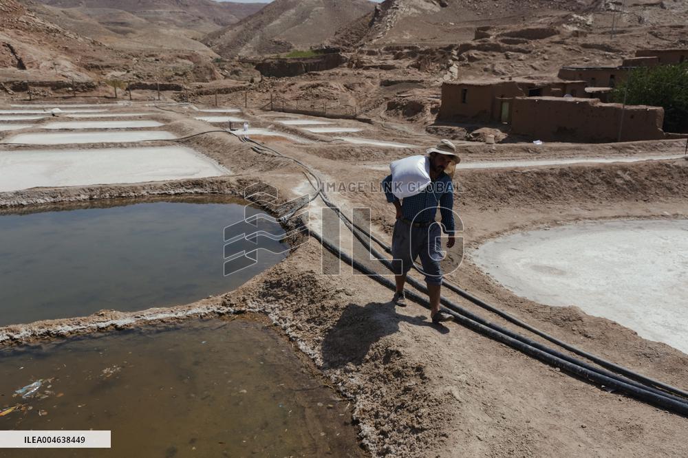 Salt Harvest Declines Sharply - Iraq