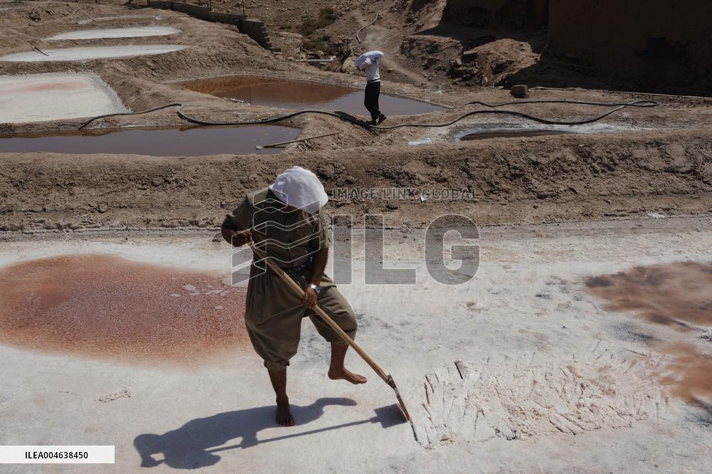 Salt Harvest Declines Sharply - Iraq