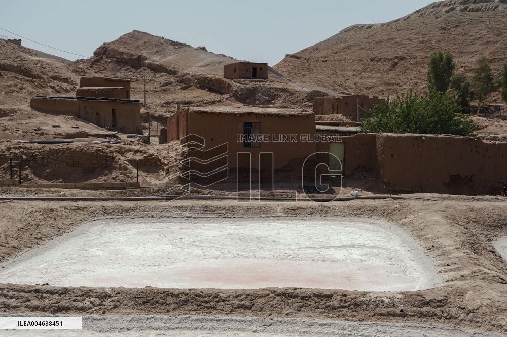 Salt Harvest Declines Sharply - Iraq