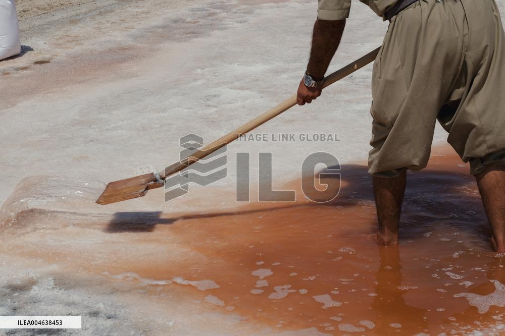 Salt Harvest Declines Sharply - Iraq