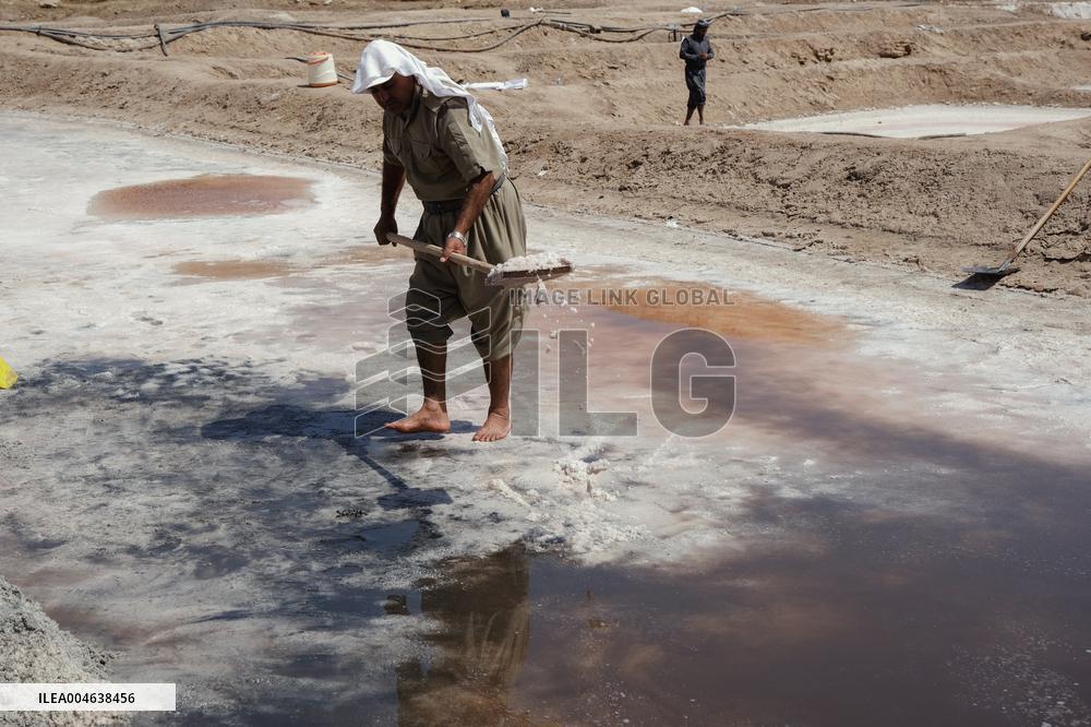 Salt Harvest Declines Sharply - Iraq