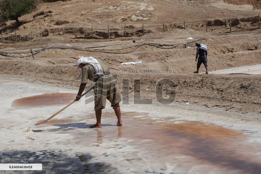 Salt Harvest Declines Sharply - Iraq
