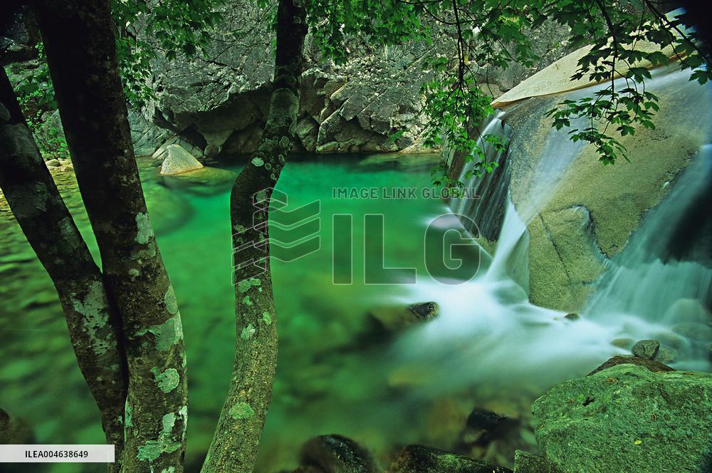 FRANCE. CORSE-DU-SUD (2A) BAVELLA MASSIF. THE NATURAL POOLS OF PURCARACCIA ARE AMONG THE MOST BEAUTIFUL ON THE ISLAND. FORMED BY