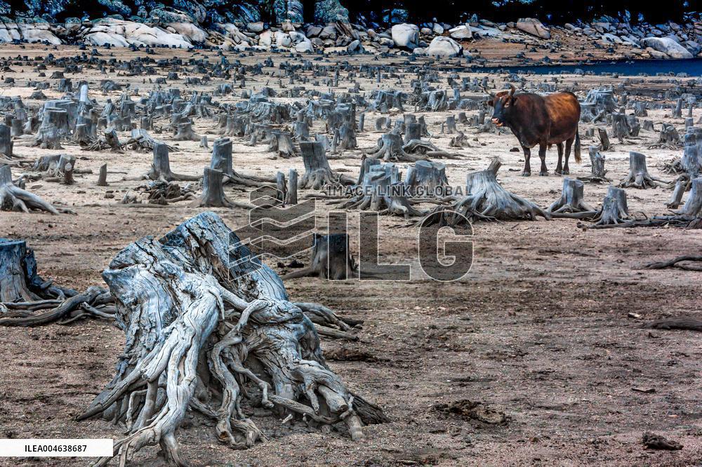 Illustration - Global Warming - France