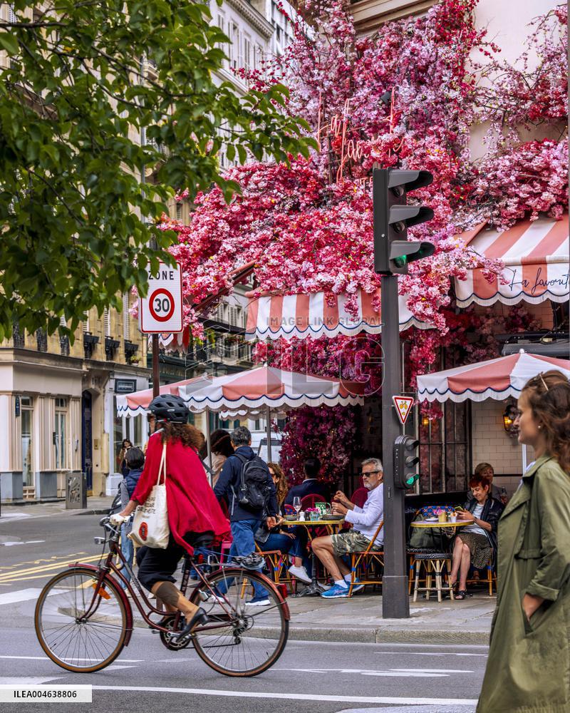 Illustration - Bike - Paris