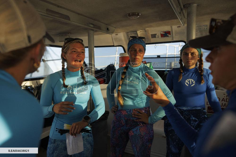 Coral Spawning - Florida