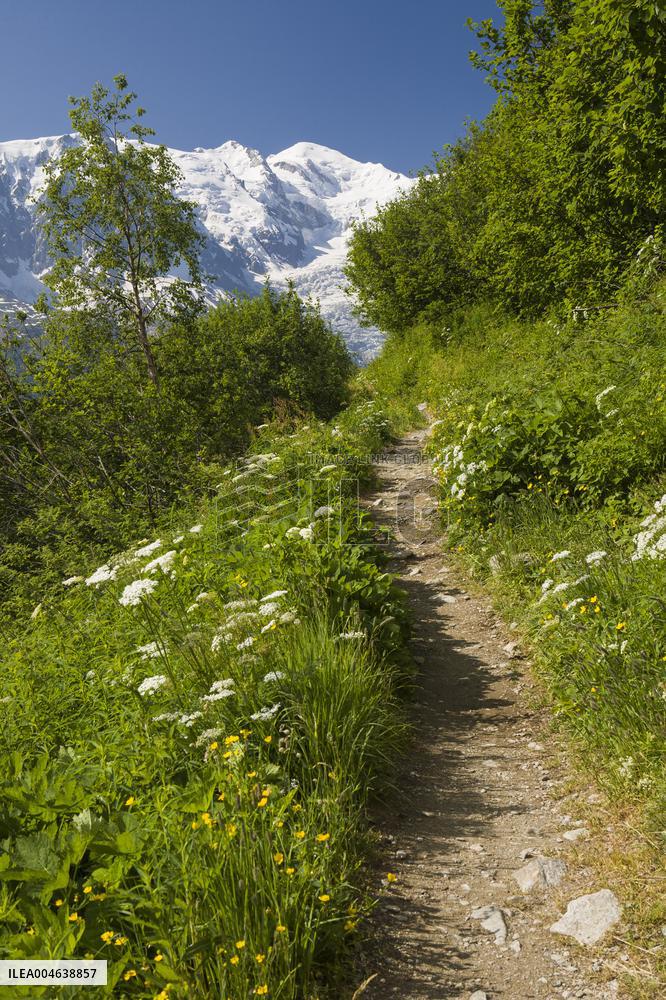 Illustration - Global Warming - France