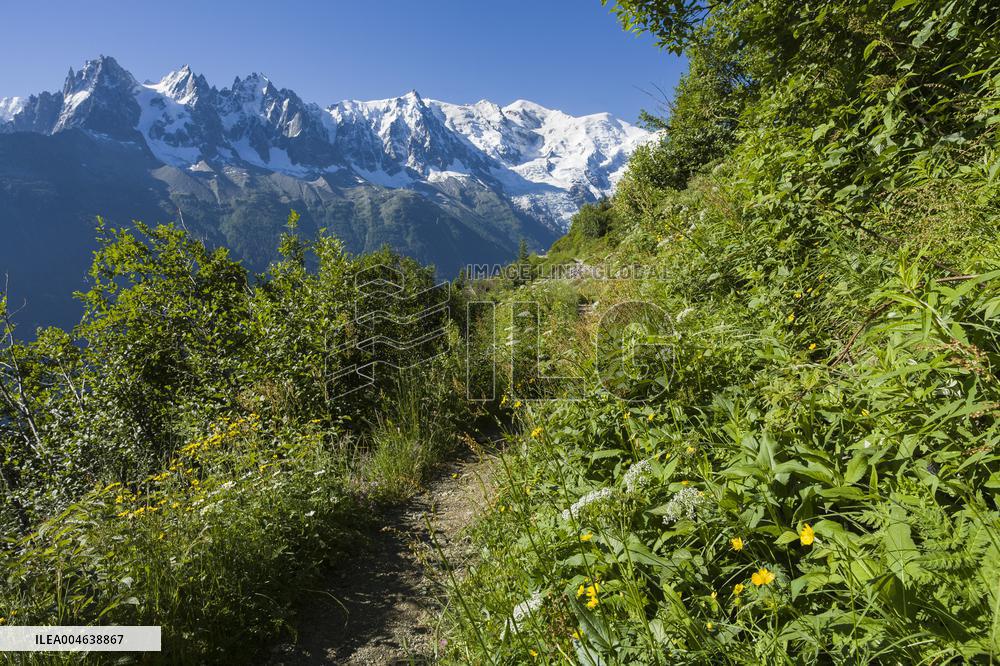 Illustration - Global Warming - France