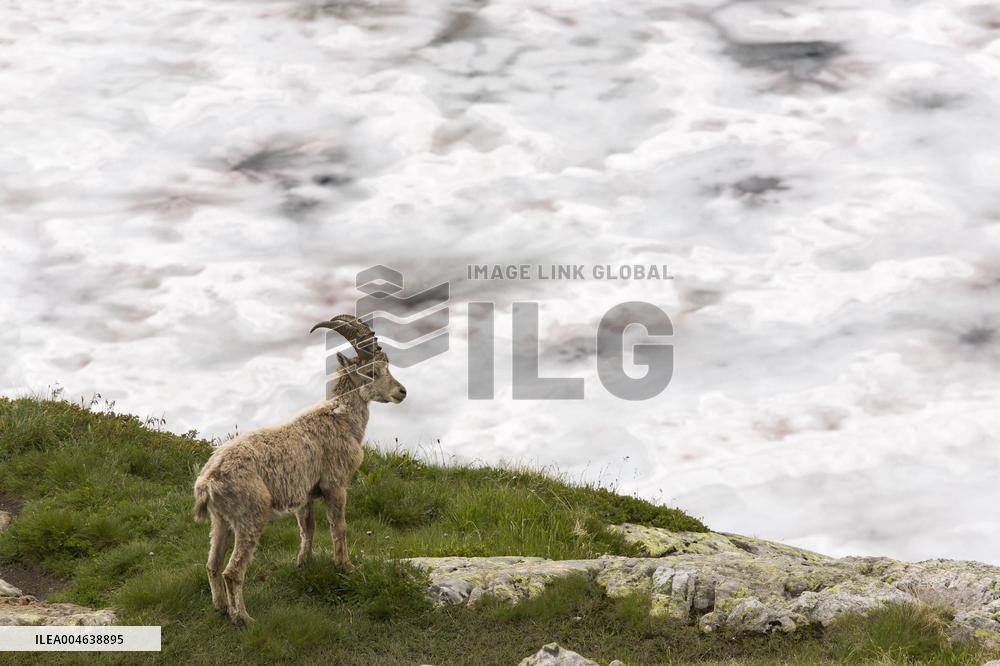 Illustration - Global Warming - France