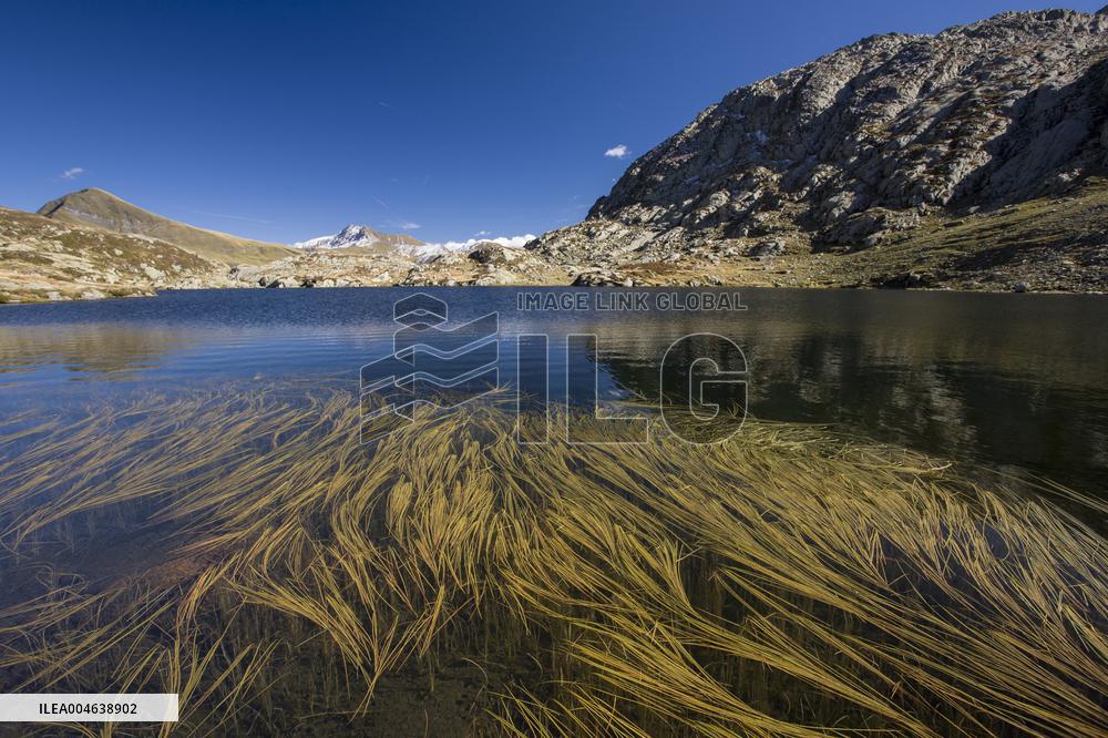 Illustration - Global Warming - France