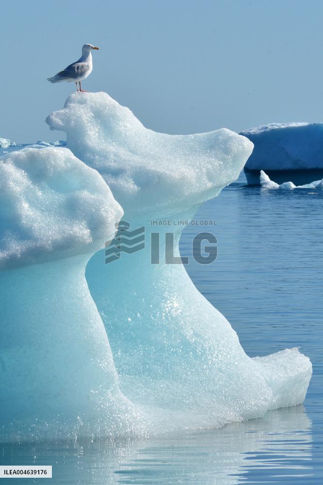 Illustration - Climate Change