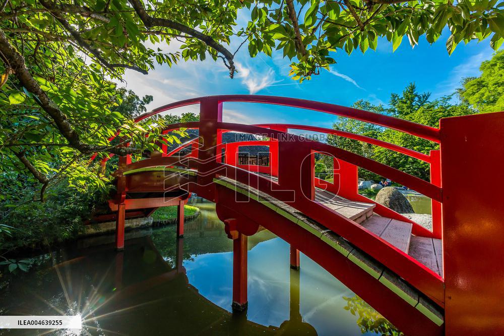 Illustration - Toulouse