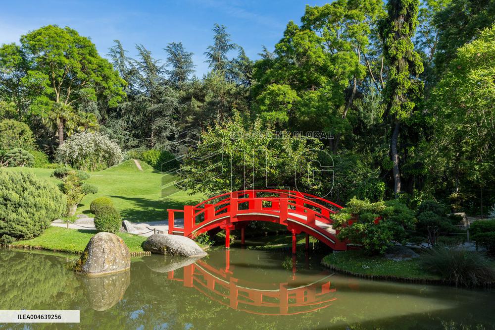 Illustration - Toulouse