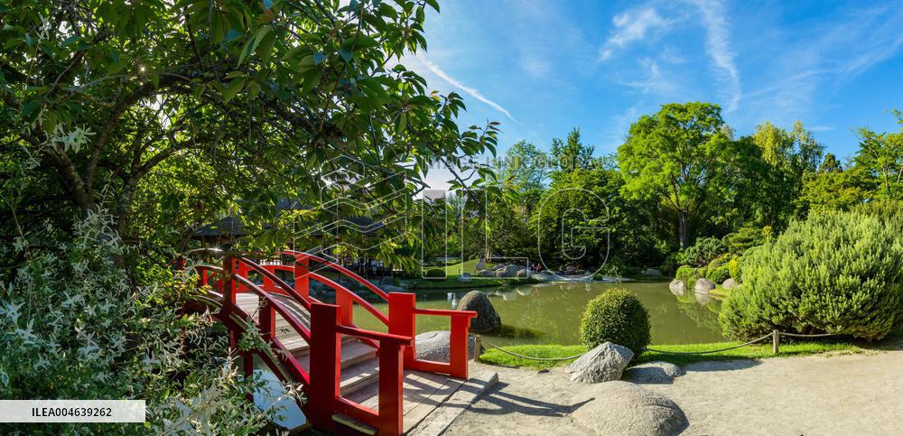 Illustration - Toulouse