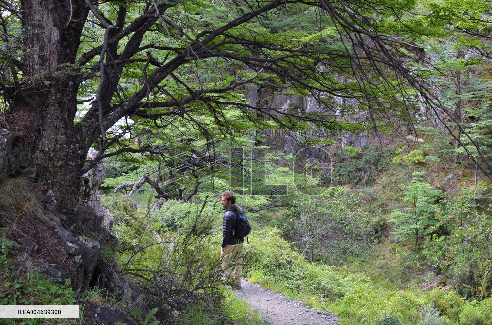 Illustration - Patagonie