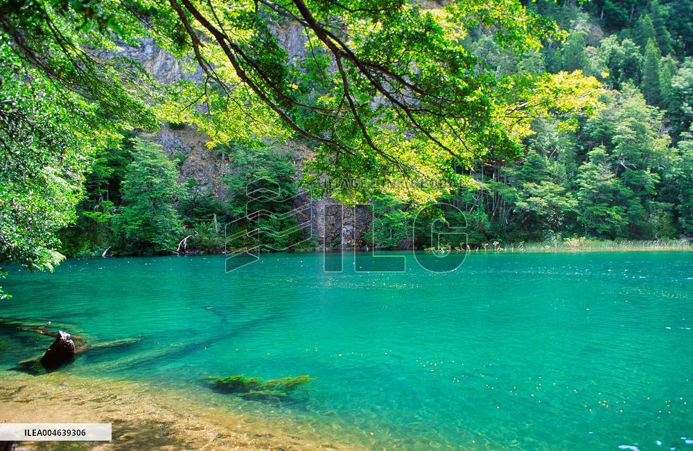 Illustration - Patagonie