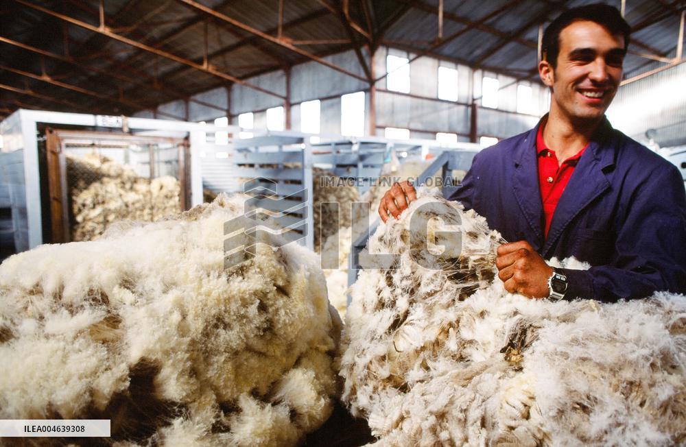 Illustration - Patagonie