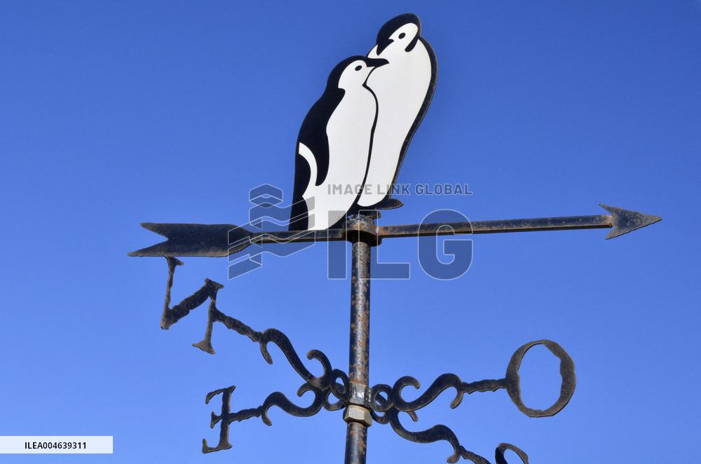 Illustration - Patagonie