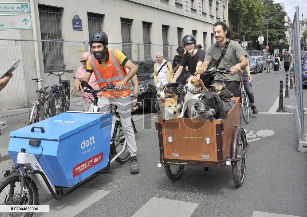 Illustration - Bike - Paris
