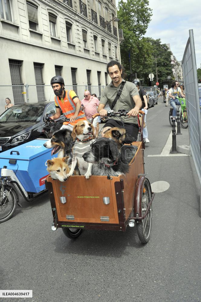 Illustration - Bike - Paris