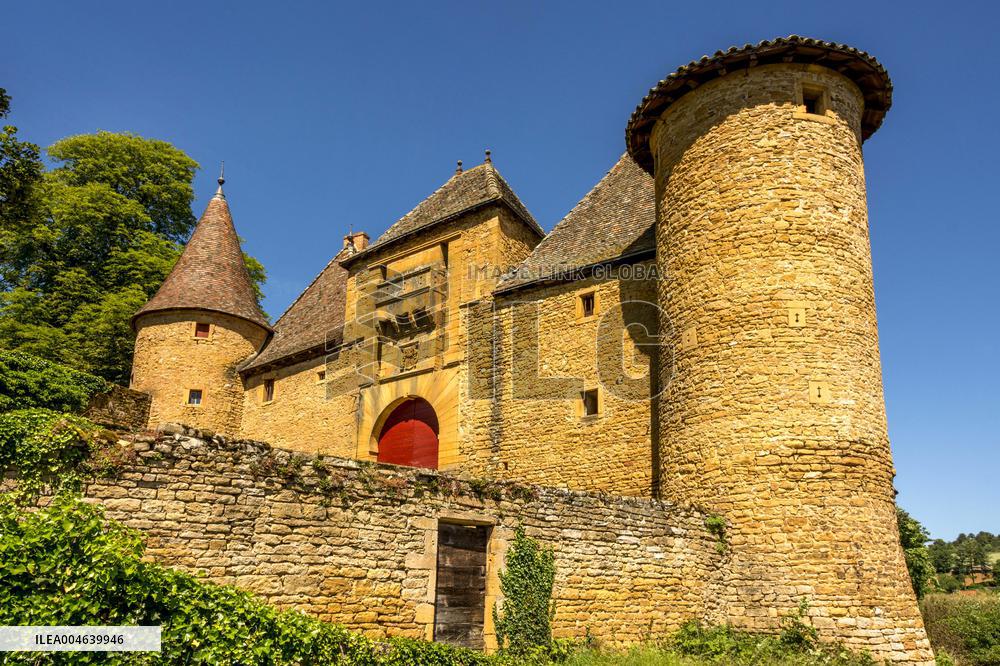 Illustration - Vin Beaujolais