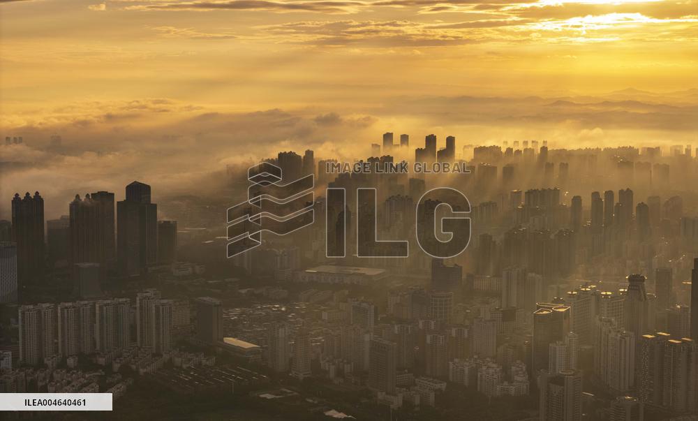 Morning Glow And Ethereal Adveling Fog in Nanjing