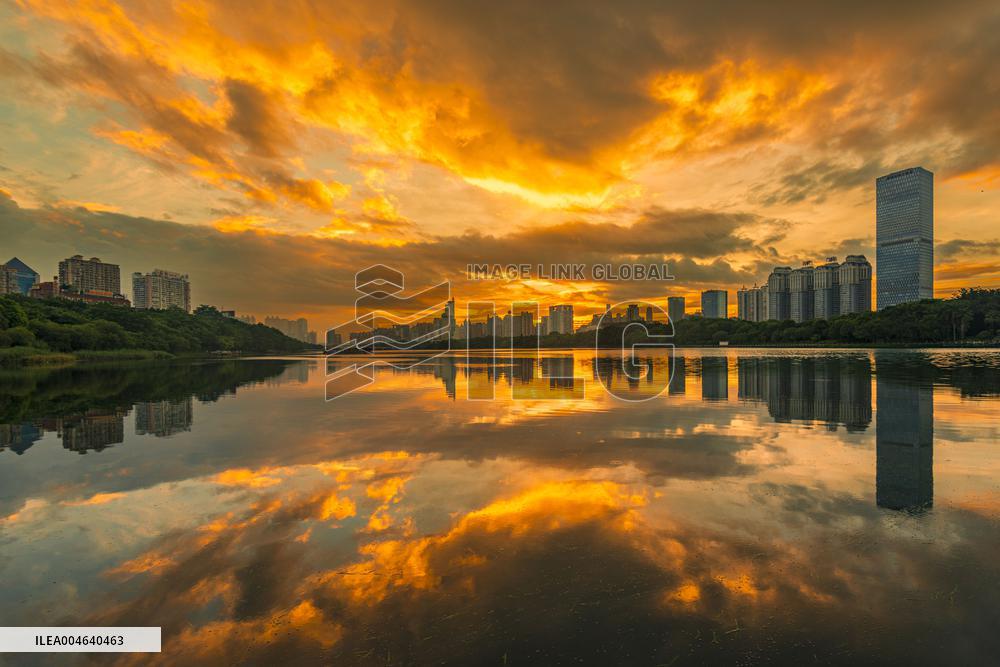 Morning Glow And Ethereal Adveling Fog in Nanjing