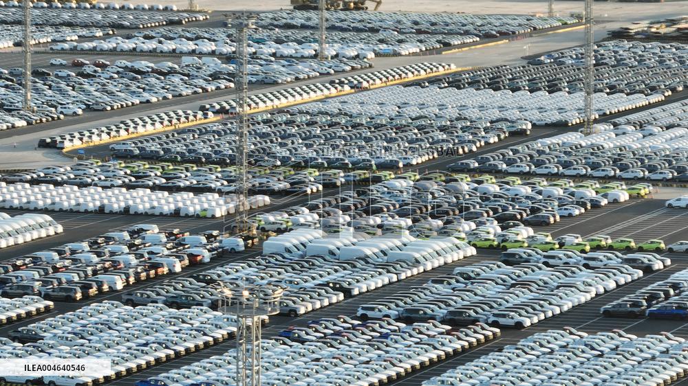 BYD Pure Car Truck Carrier