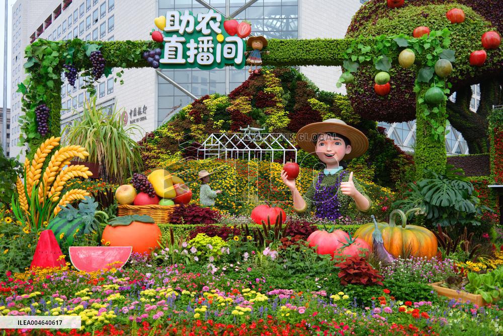 Theme Flower Bed in Beijing