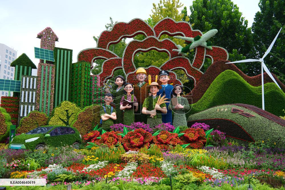 Theme Flower Bed in Beijing